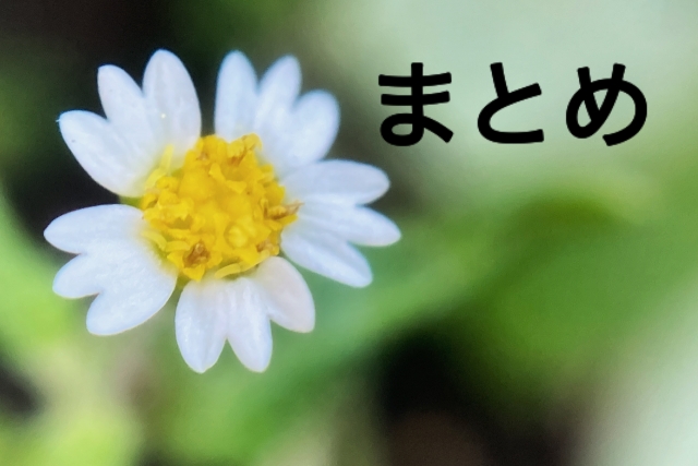 白い花と「まとめ」と書かれている