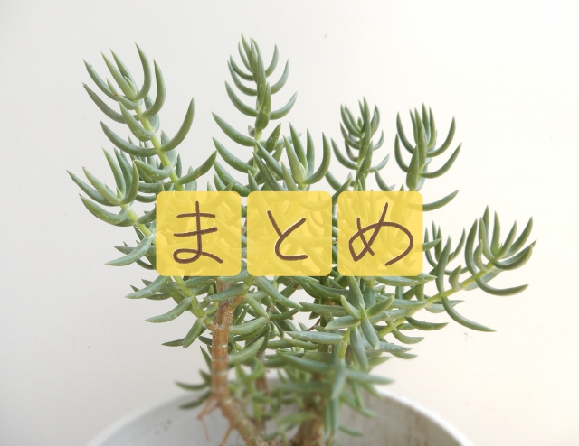 １本の植物とまとめの文字